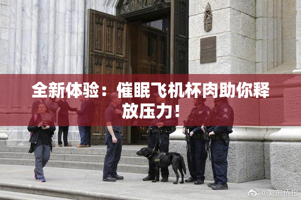 全新体验：催眠飞机杯肉助你释放压力！