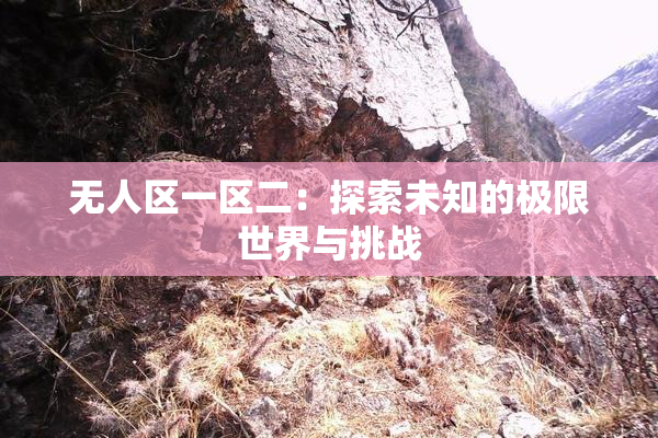 无人区一区二：探索未知的极限世界与挑战