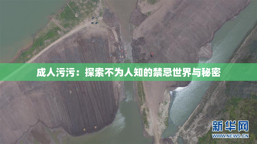成人污污：探索不为人知的禁忌世界与秘密