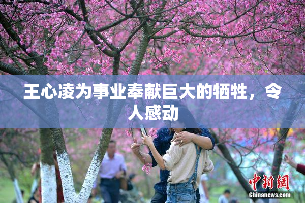 王心凌为事业奉献巨大的牺牲，令人感动