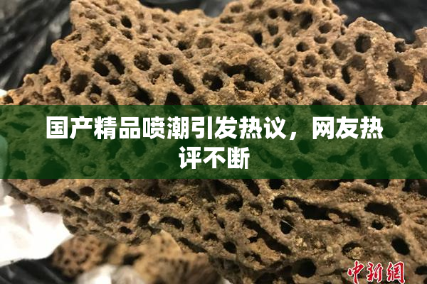 国产精品喷潮引发热议，网友热评不断
