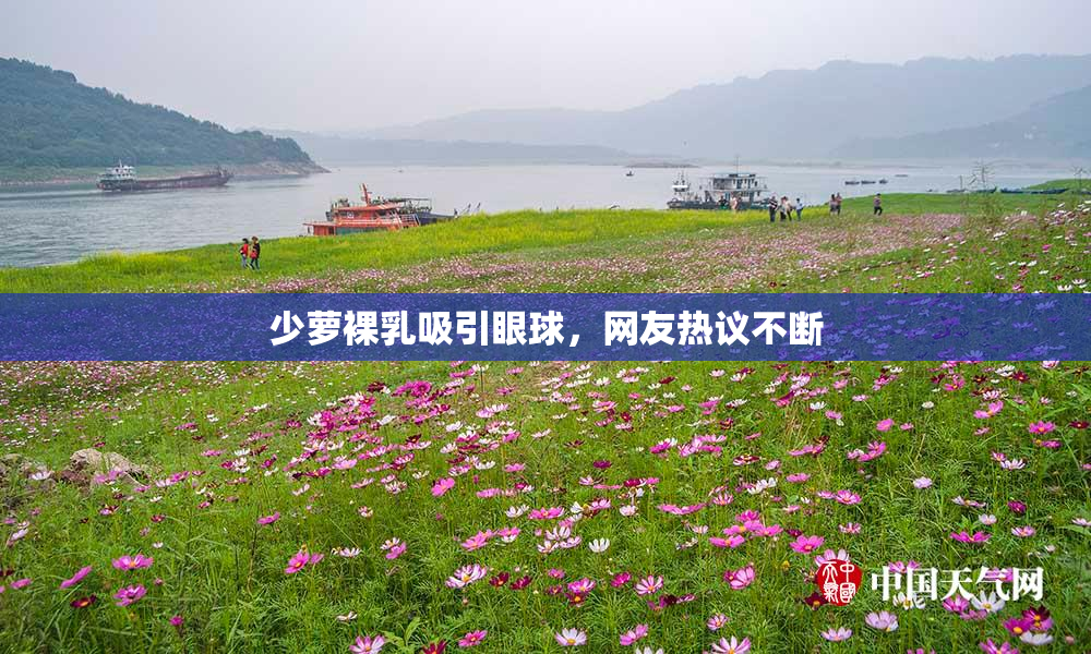 少萝裸乳吸引眼球，网友热议不断