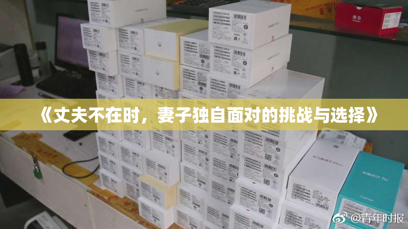 《丈夫不在时，妻子独自面对的挑战与选择》
