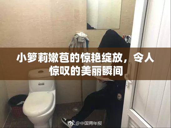 小箩莉嫩苞的惊艳绽放，令人惊叹的美丽瞬间
