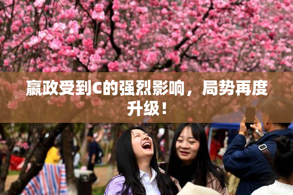 嬴政受到C的强烈影响，局势再度升级！