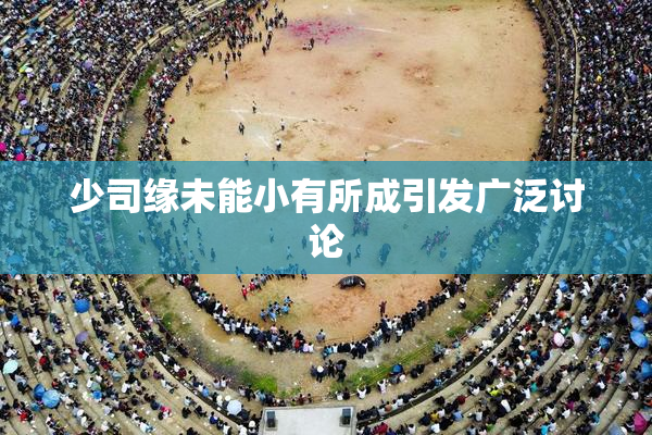 少司缘未能小有所成引发广泛讨论
