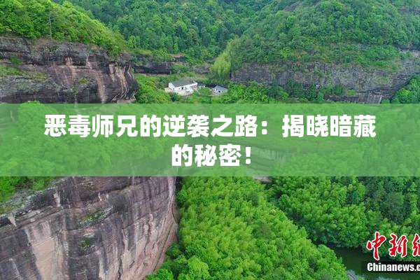 恶毒师兄的逆袭之路：揭晓暗藏的秘密！