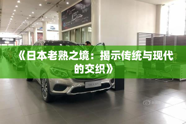 《日本老熟之境：揭示传统与现代的交织》