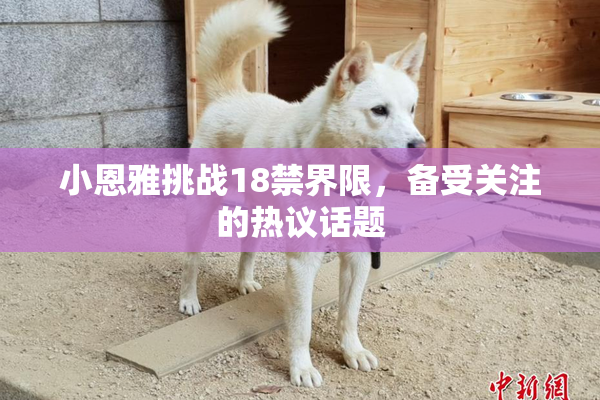 小恩雅挑战18禁界限，备受关注的热议话题