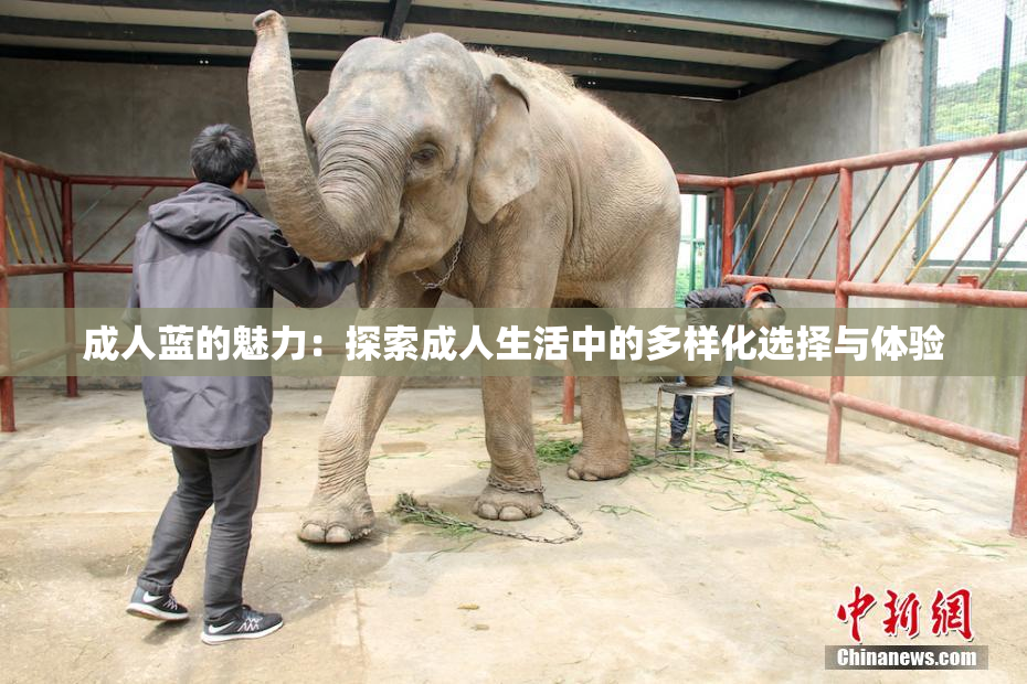 成人蓝的魅力：探索成人生活中的多样化选择与体验