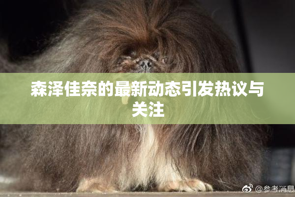 森泽佳奈的最新动态引发热议与关注