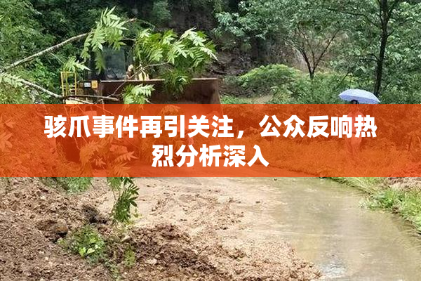 骇爪事件再引关注，公众反响热烈分析深入