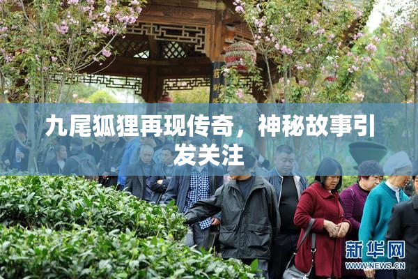 九尾狐狸再现传奇，神秘故事引发关注