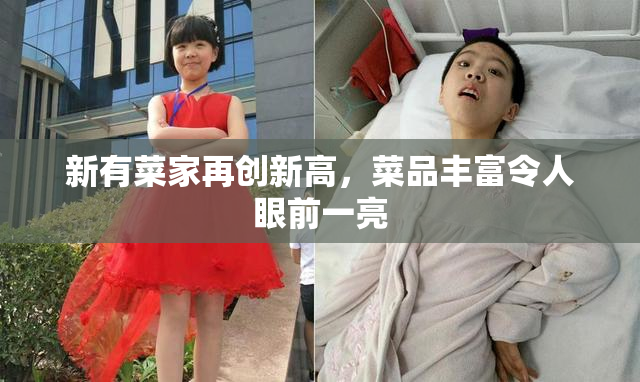 新有菜家再创新高，菜品丰富令人眼前一亮