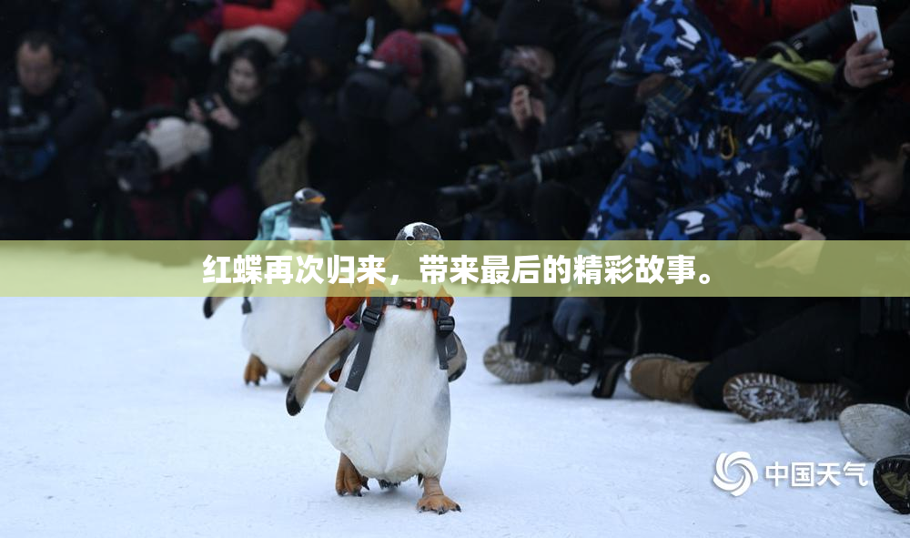 红蝶再次归来，带来最后的精彩故事。