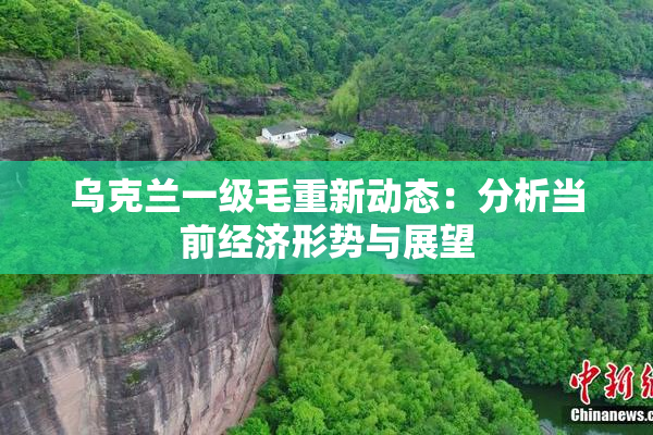 乌克兰一级毛重新动态：分析当前经济形势与展望