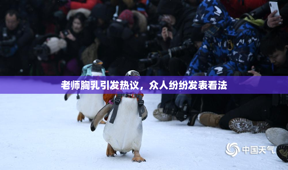 老师胸乳引发热议，众人纷纷发表看法