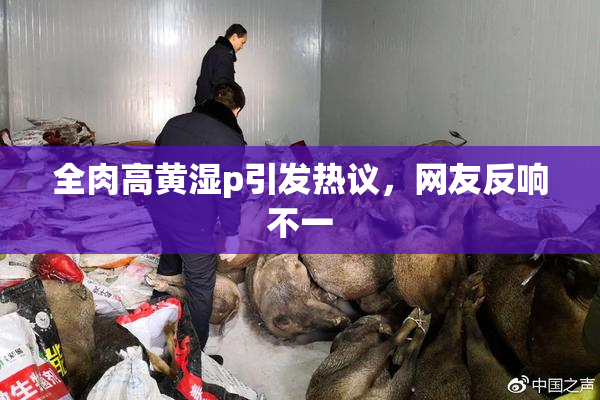 全肉高黄湿p引发热议，网友反响不一
