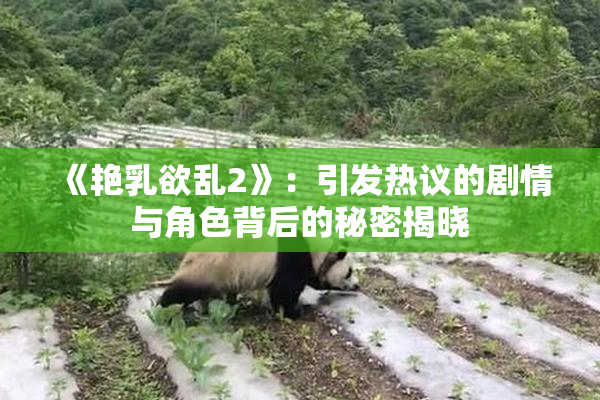 《艳乳欲乱2》：引发热议的剧情与角色背后的秘密揭晓