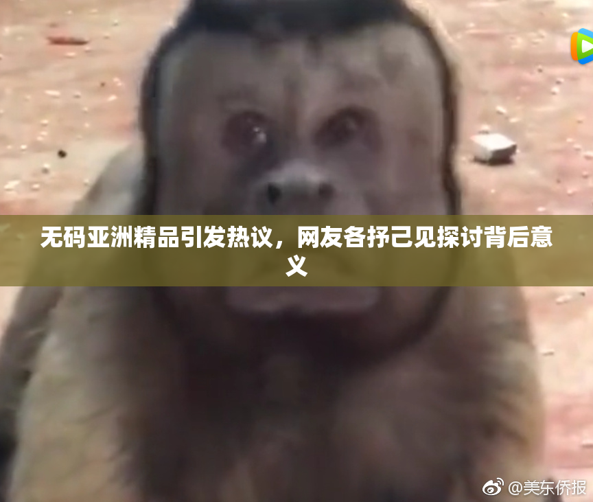 无码亚洲精品引发热议，网友各抒己见探讨背后意义