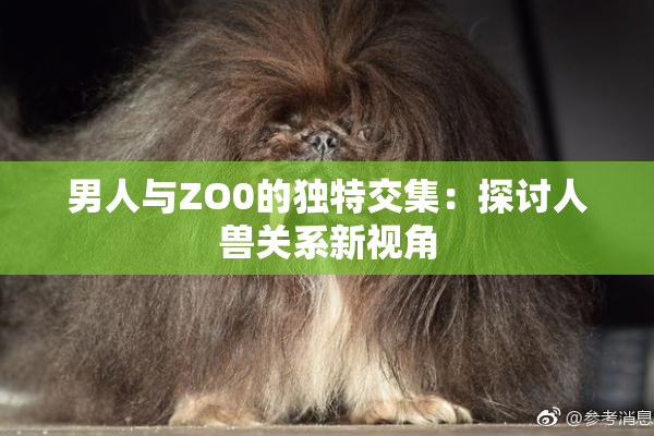 男人与ZO0的独特交集：探讨人兽关系新视角
