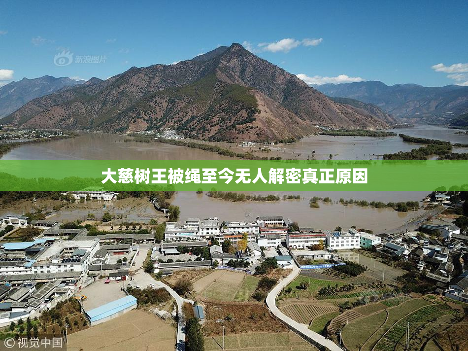 大慈树王被绳至今无人解密真正原因
