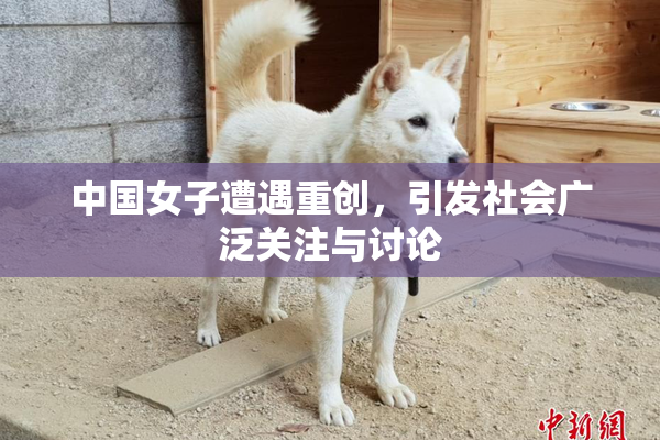 中国女子遭遇重创，引发社会广泛关注与讨论
