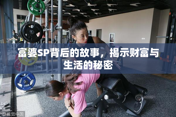富婆SP背后的故事，揭示财富与生活的秘密