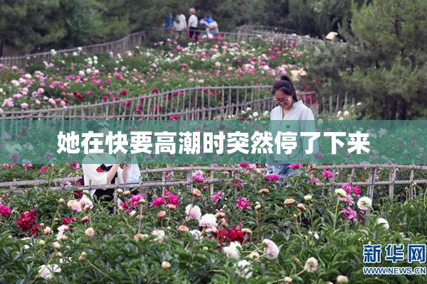 她在快要高潮时突然停了下来
