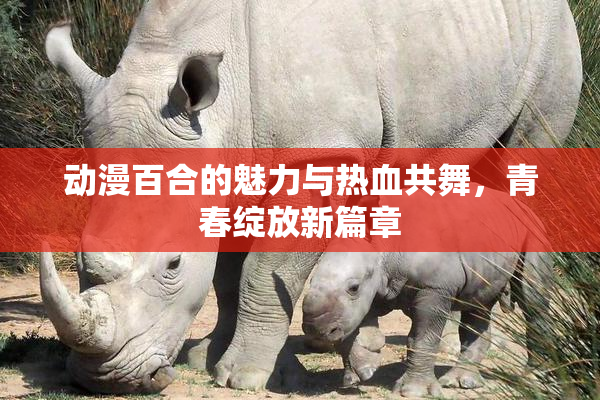 动漫百合的魅力与热血共舞，青春绽放新篇章