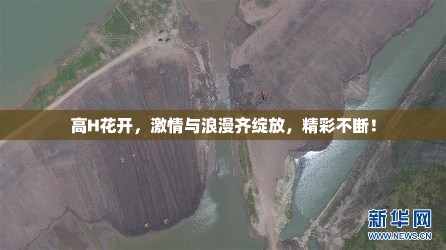 高H花开，激情与浪漫齐绽放，精彩不断！