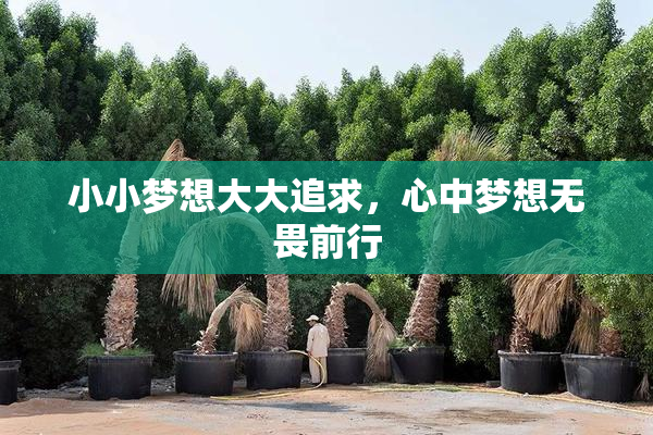 小小梦想大大追求，心中梦想无畏前行