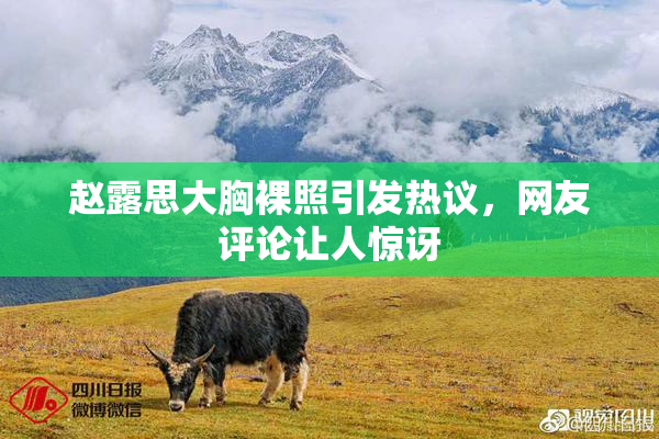 赵露思大胸裸照引发热议，网友评论让人惊讶