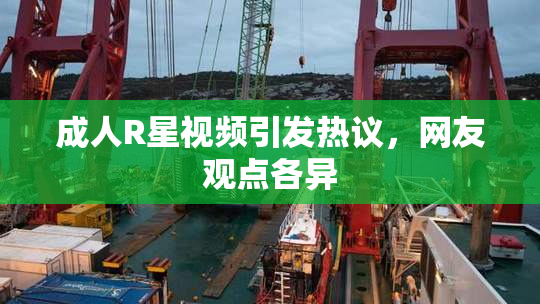 成人R星视频引发热议，网友观点各异