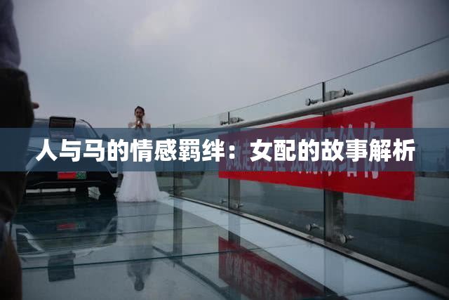 人与马的情感羁绊：女配的故事解析