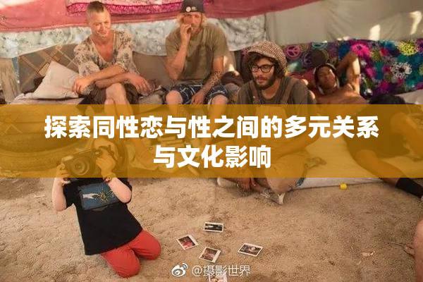 探索同性恋与性之间的多元关系与文化影响