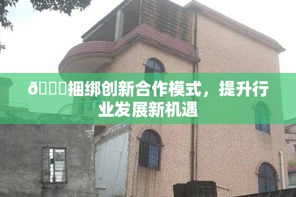 🔞捆绑创新合作模式，提升行业发展新机遇