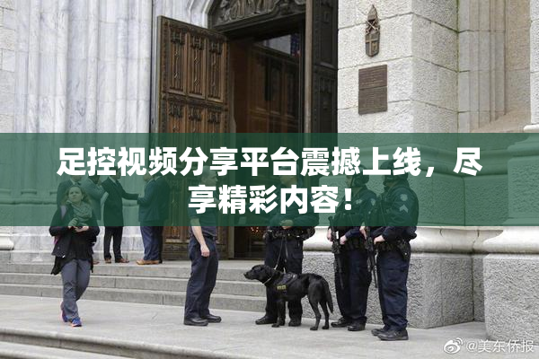 足控视频分享平台震撼上线，尽享精彩内容！