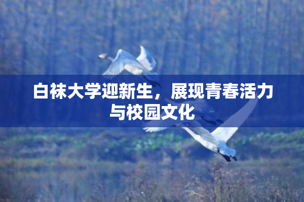 白袜大学迎新生，展现青春活力与校园文化