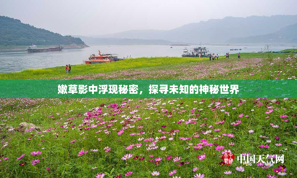 嫩草影中浮现秘密，探寻未知的神秘世界