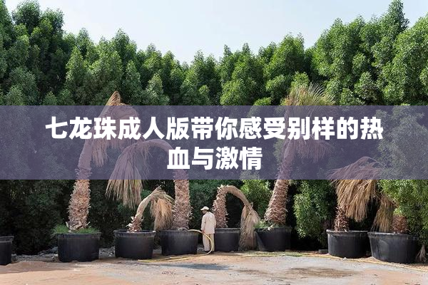 七龙珠成人版带你感受别样的热血与激情