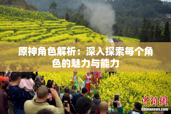原神角色解析：深入探索每个角色的魅力与能力