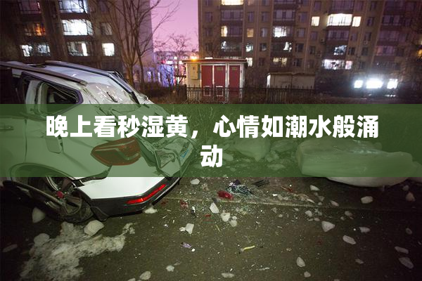 晚上看秒湿黄，心情如潮水般涌动