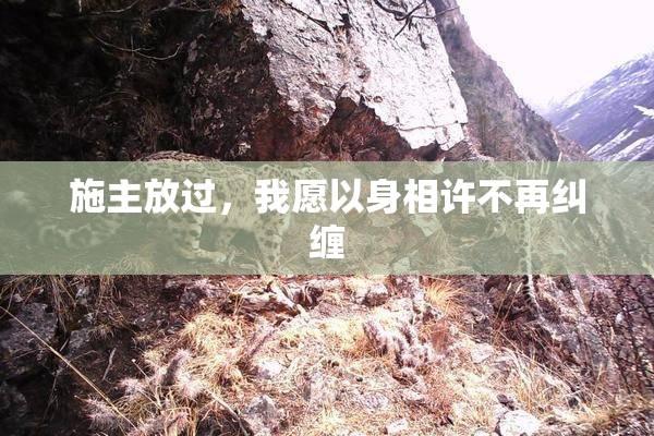 施主放过，我愿以身相许不再纠缠