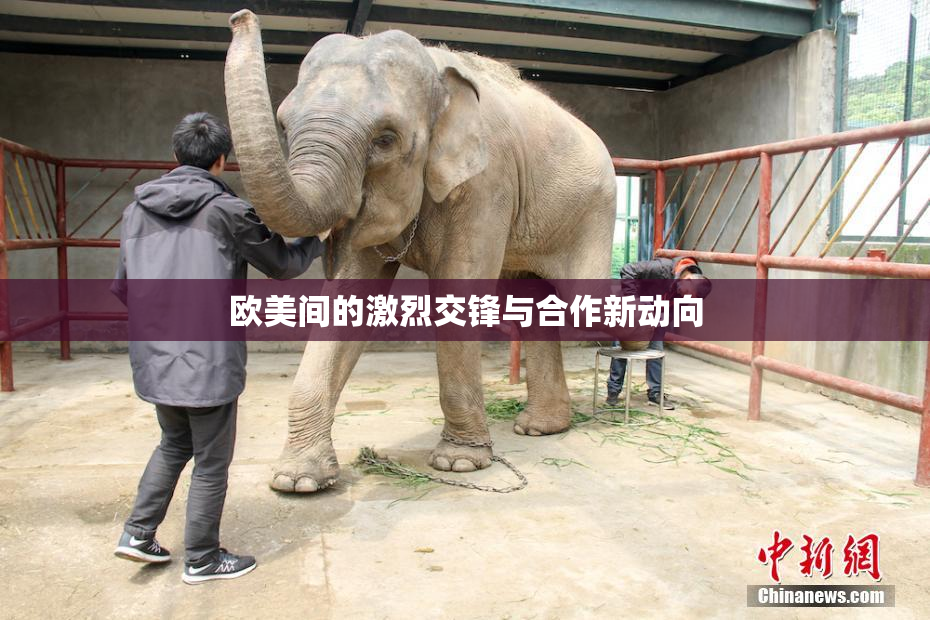 欧美间的激烈交锋与合作新动向