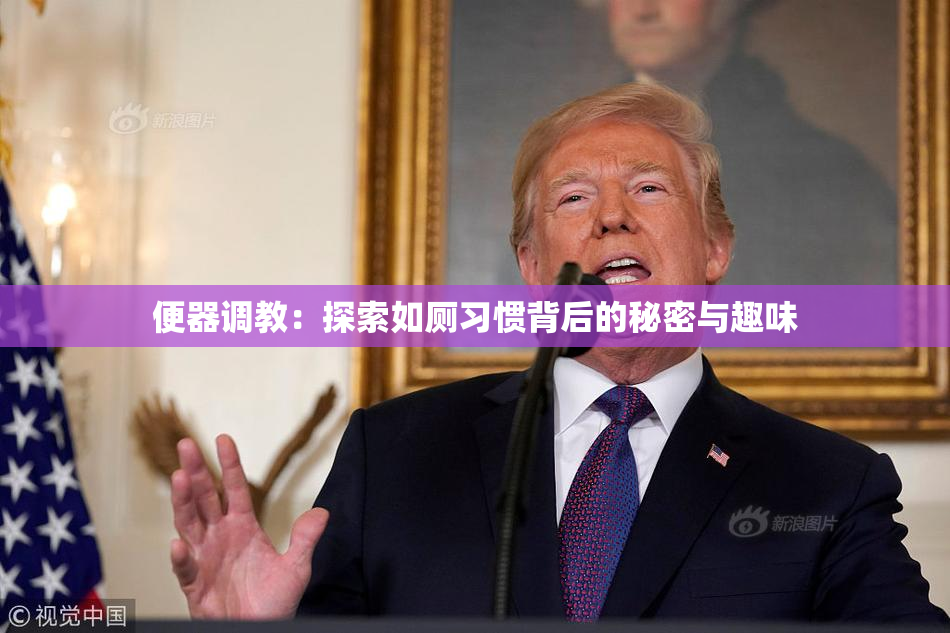 便器调教：探索如厕习惯背后的秘密与趣味