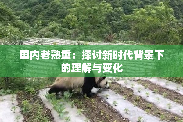 国内老熟重：探讨新时代背景下的理解与变化