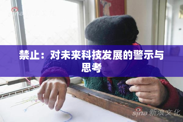 禁止：对未来科技发展的警示与思考