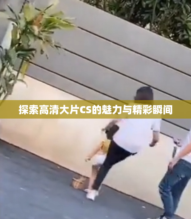 探索高清大片CS的魅力与精彩瞬间