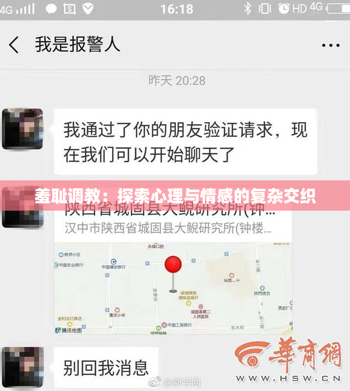 羞耻调教：探索心理与情感的复杂交织